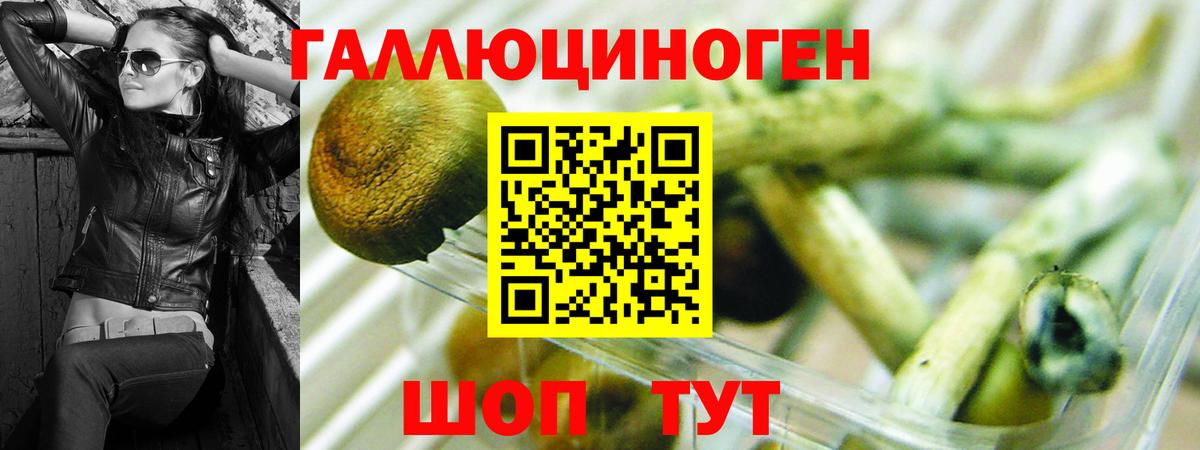Псилоцибиновые грибы ЛСД Берёзовский