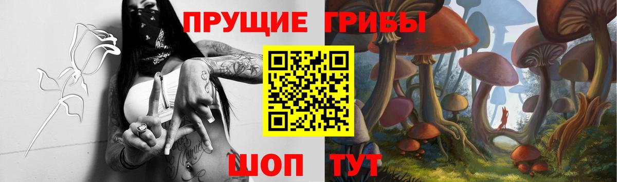 Псилоцибиновые грибы мицелий  Берёзовский  Галлюциногенные грибы мухоморы 